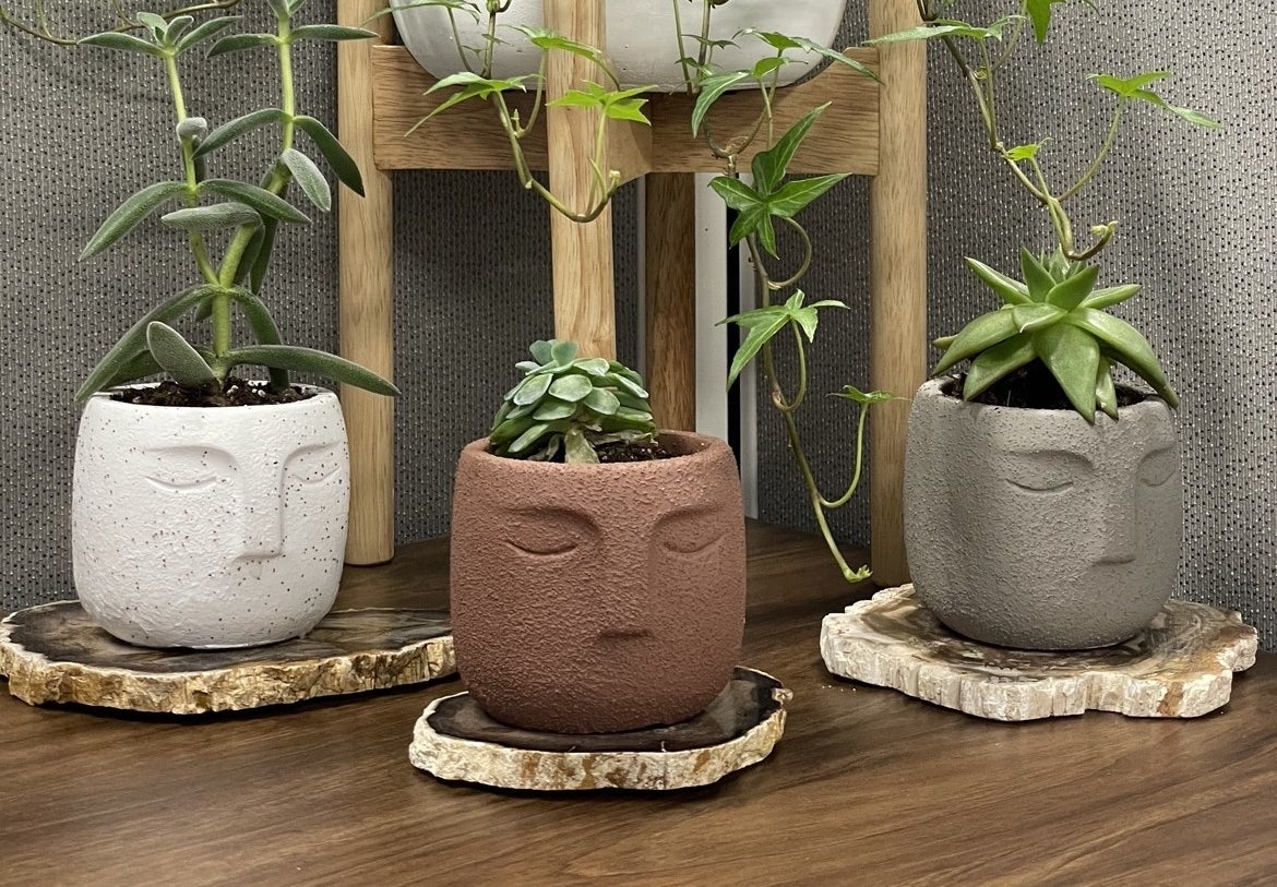 Reviewer&#x27;s three head-shaped planters in white, terracotta, and grey hold plants