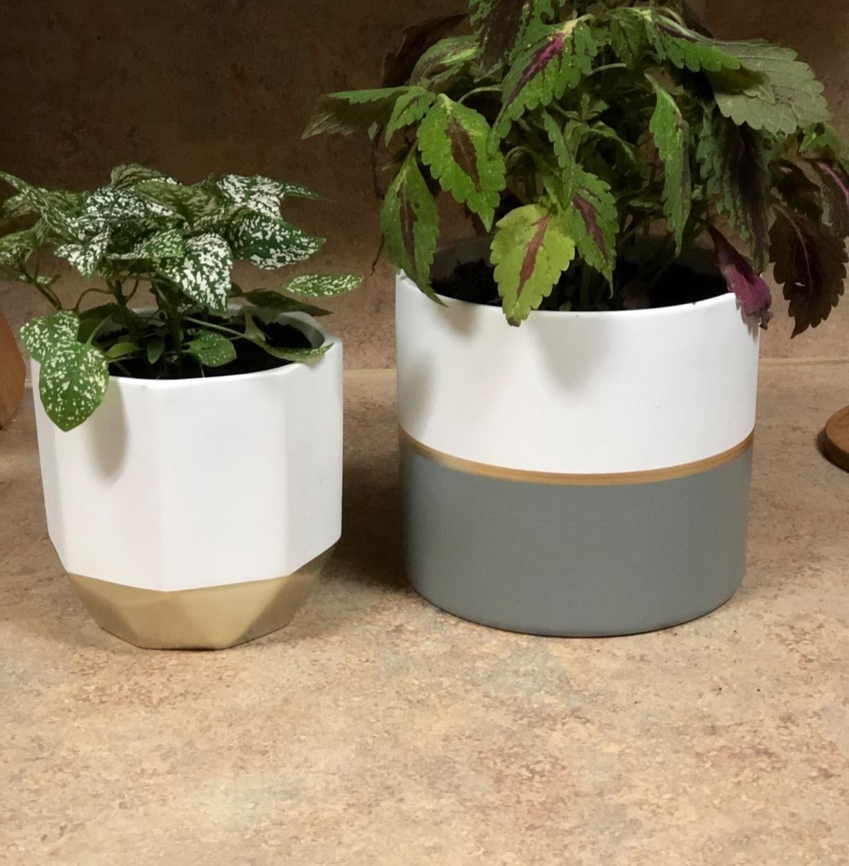 Buy Large and Colorful Indoor Plant Pot With Drainage Plate Online