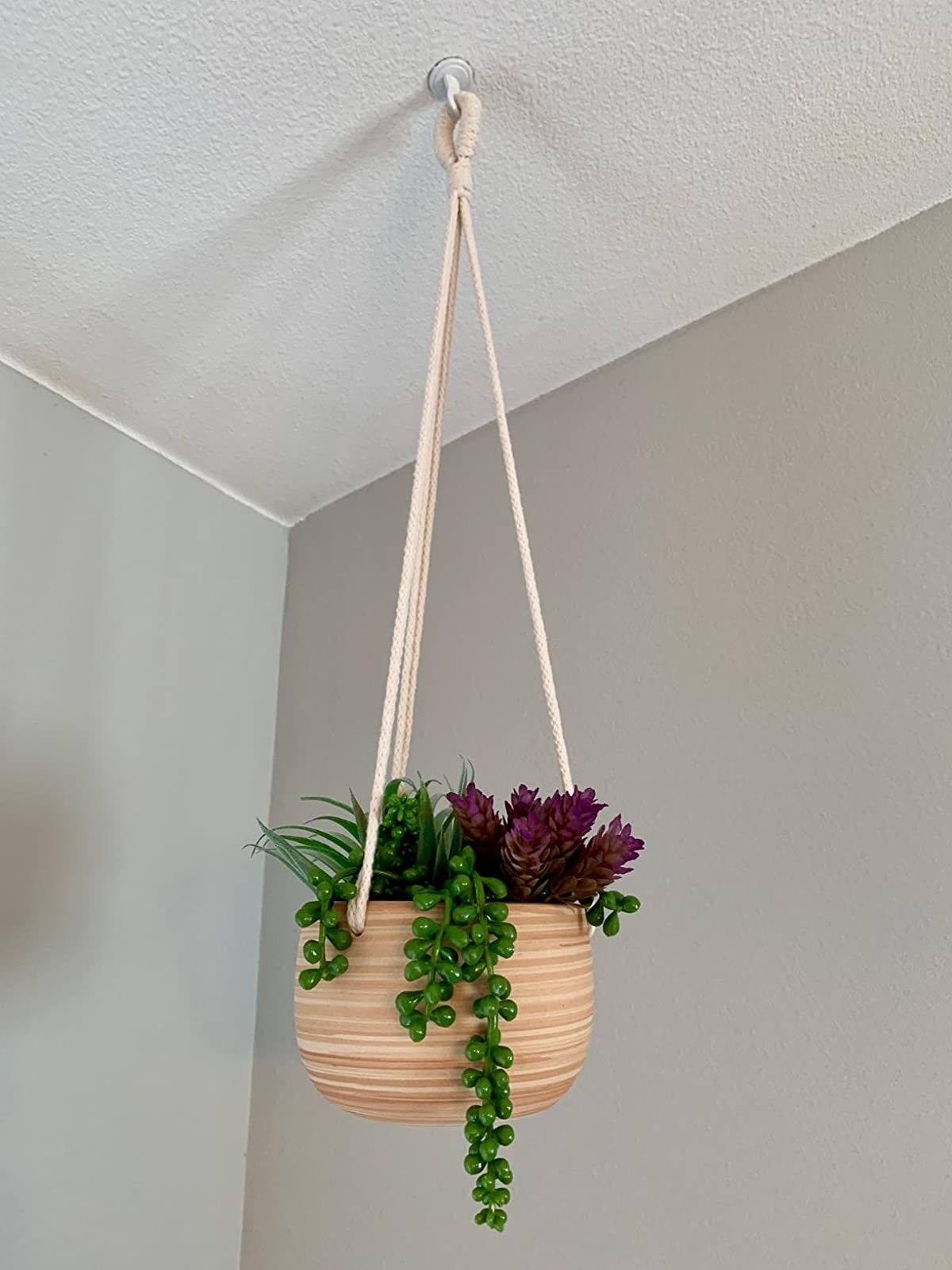 Reviewer&#x27;s planter hangs from the ceiling and is filled with succulents