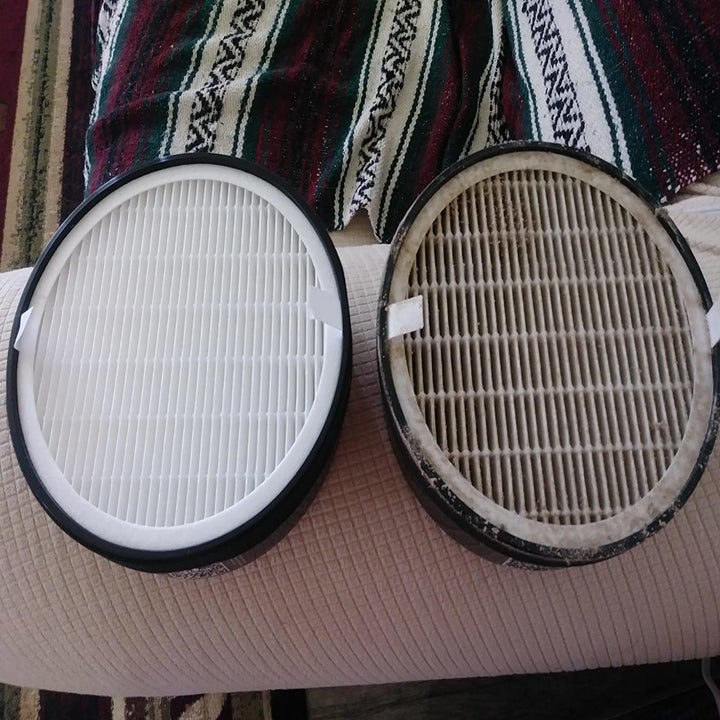 a reviewer photo of a clean filer on the left, and a dirty filer on the right 