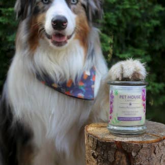 reviewer's dog posing with its paw on the candle 
