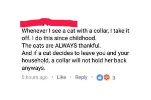 A woman posting about how she takes off the collars of cats she finds on the street