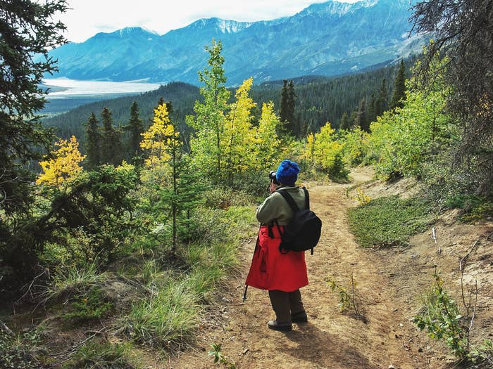 tourist carrying a backpack and walking stick photographing the landscape during a hike in Kluane National Park in late summer.