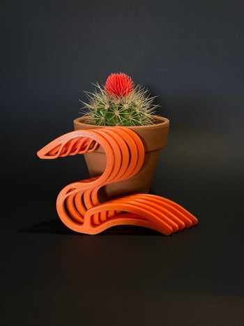 several s-shaped hangers beside a potted plant 