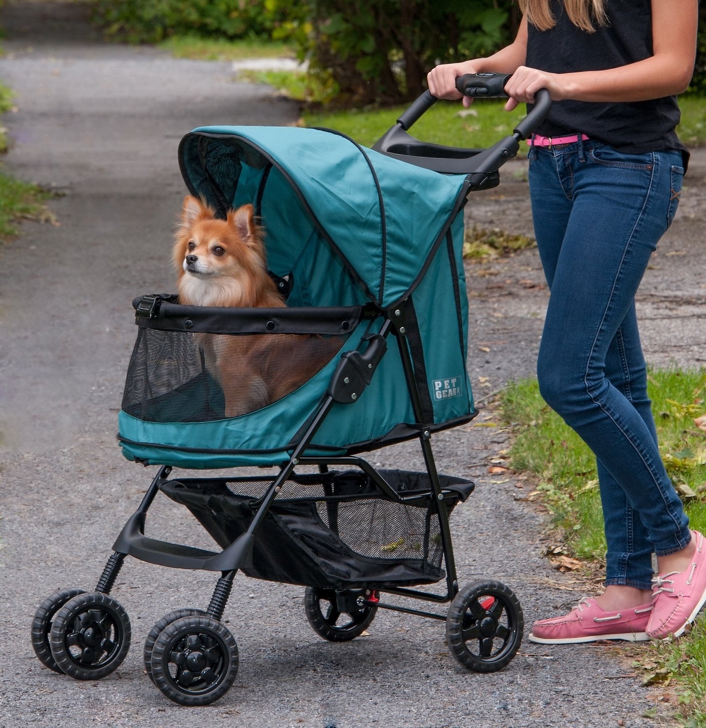 a person walking their dog in the no zip pet stroller and the dog inside is a small dog