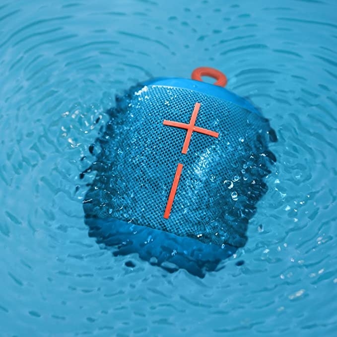 The speaker submerged in water