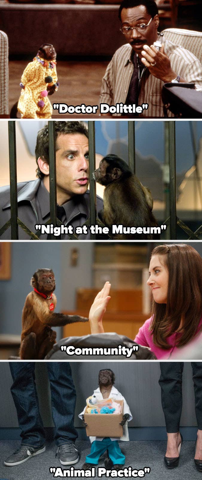 Crystal the Monkey in &quot;Doctor Dolittle,&quot; &quot;Night at the Museum,&quot; &quot;Community,&quot; and &quot;Animal Practice&quot;