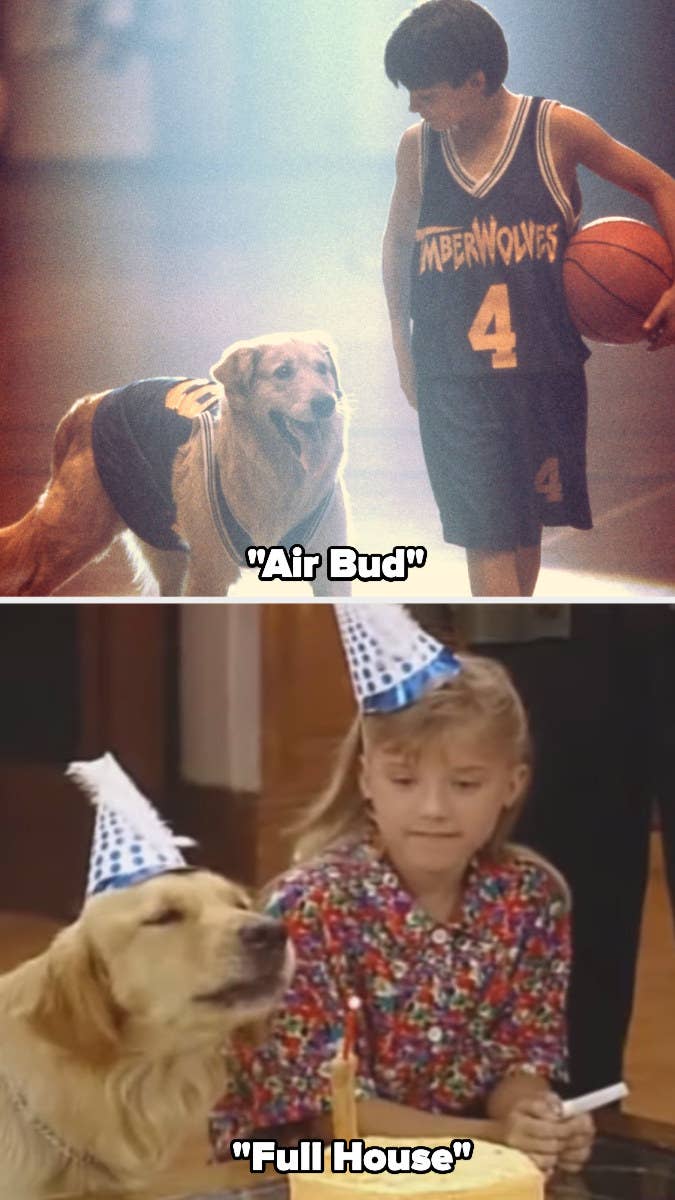 Buddy in &quot;Air Bud&quot; and &quot;Full House&quot;