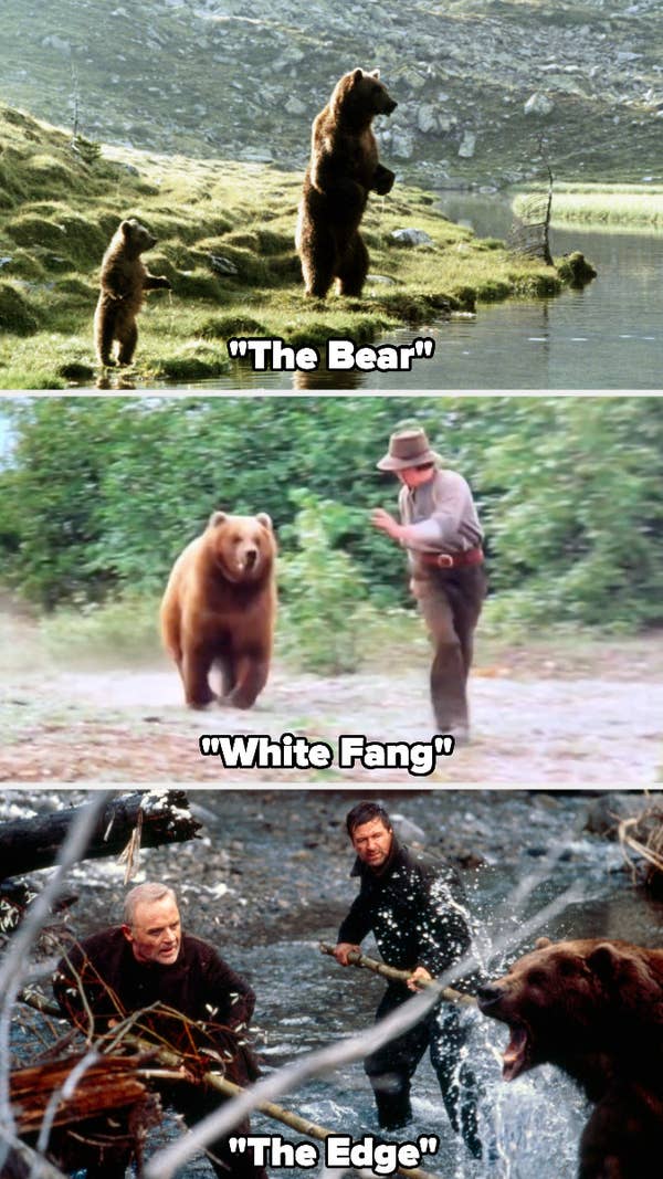 Bart the Bear in &quot;The Bear,&quot; &quot;White Fang,&quot; and &quot;The Edge&quot;