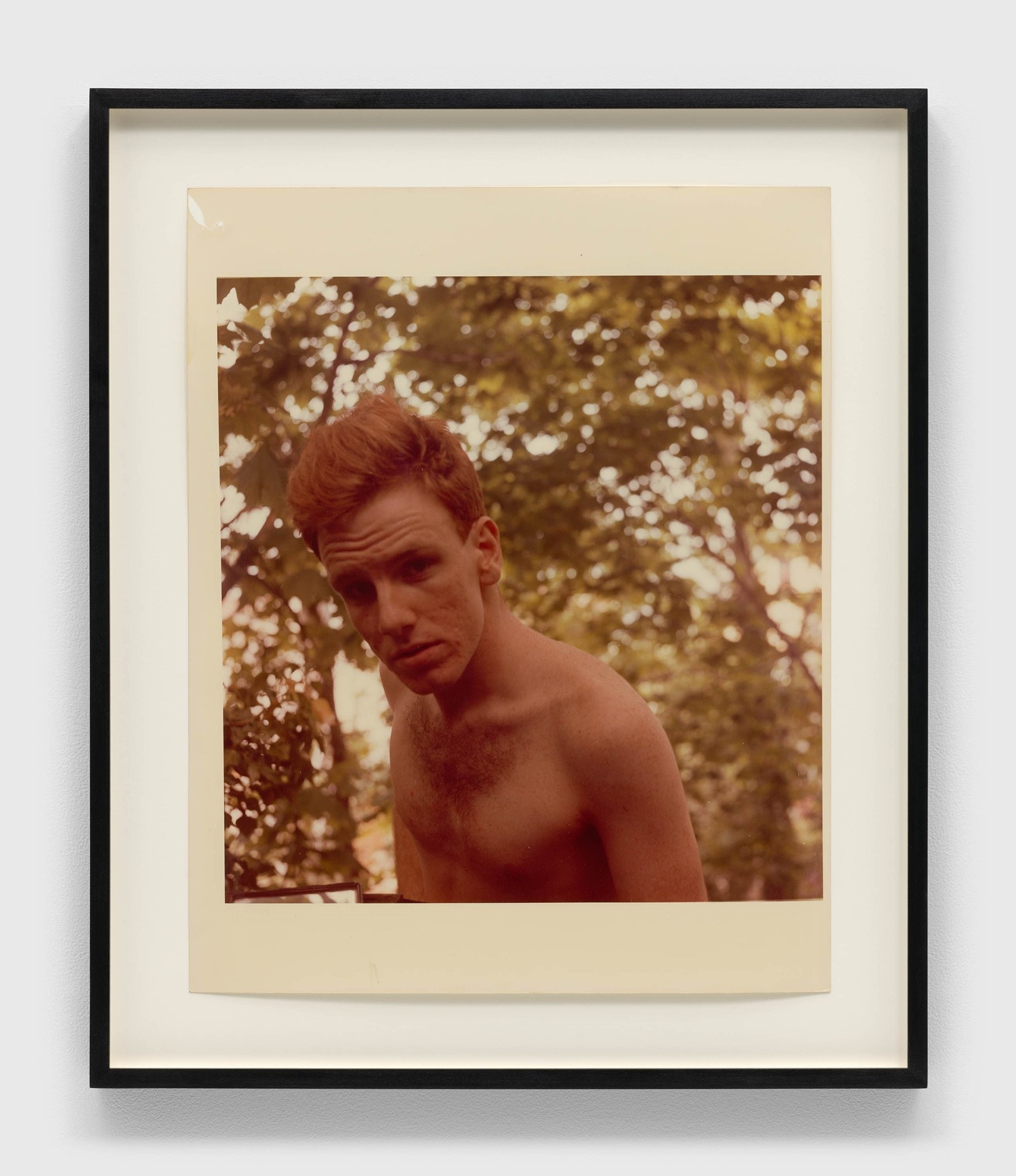 A young man looks at the camera in front of a tree in a framed photo