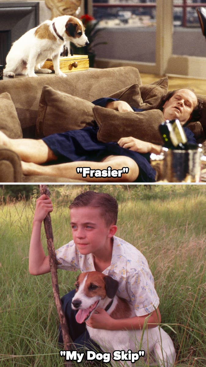 Moose acting in &quot;Frasier&quot; and &quot;My Dog Skip&quot;
