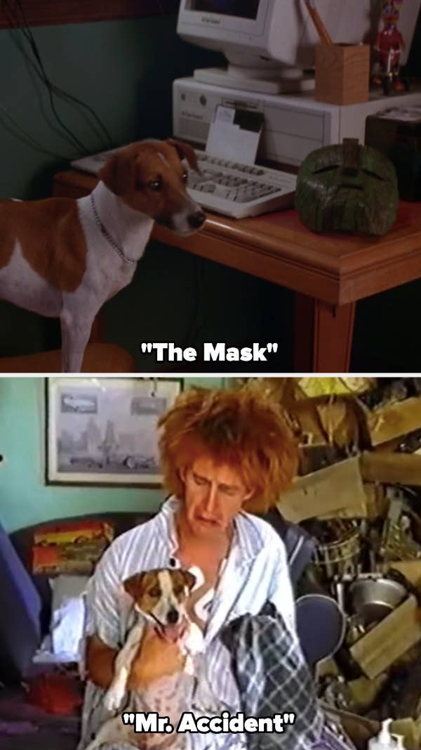 Max, a Jack Russell Terrier, in &quot;The Mask&quot; and &quot;Mr. Accident&quot;