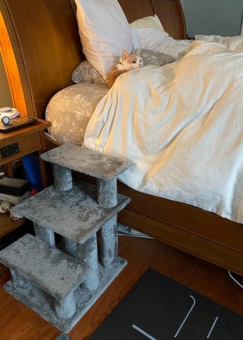a reviewer photo of the stairs next to a bed and a cat in the bed