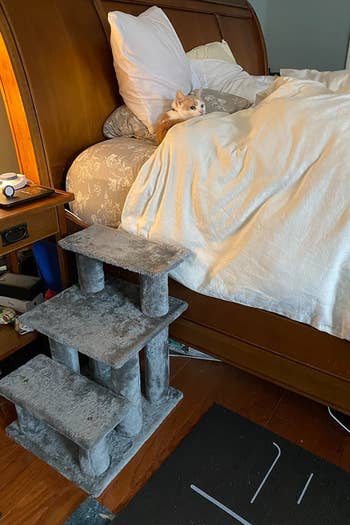 a reviewer photo of the stairs next to a bed and a cat in the bed