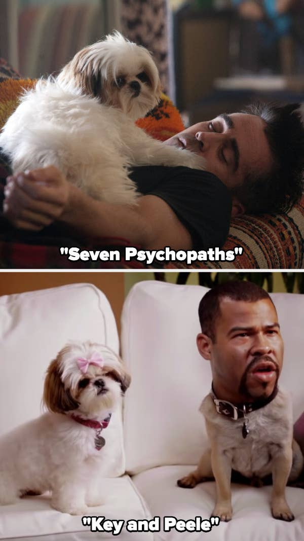 Bonny in &quot;Seven Psychopaths&quot; and &quot;Key and Peele&quot;