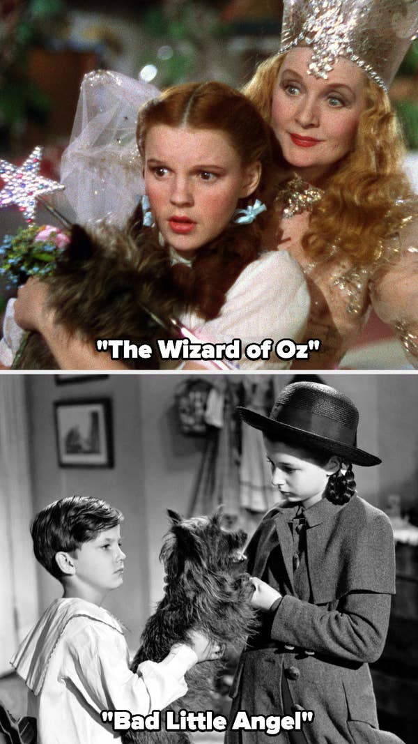 Toto the dog in &quot;The Wizard of Oz&quot; and &quot;Bad Little Angel&quot;