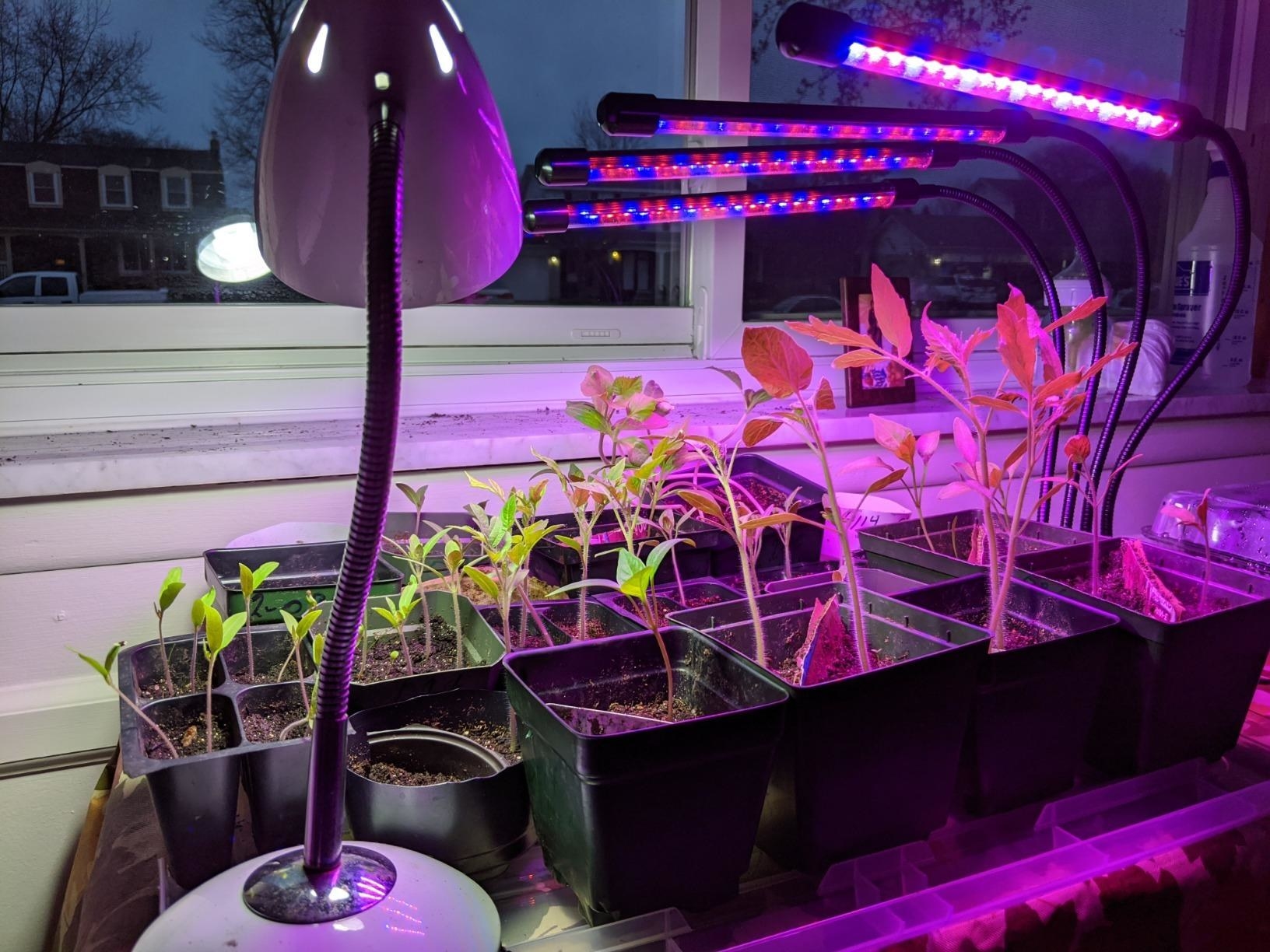 10/20/30W LED Multi-arm Plant Grow Light Desk Clip Indoor Plant Flower Lamp XI 