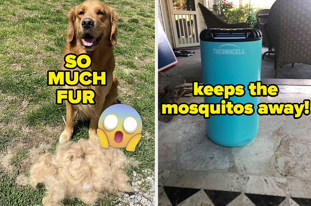 L: golden retriever sitting behind a large pile of its fur that was brushed out with a grooming rake R: blue mosquito-repelling tower