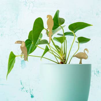 Three small gold birds decorate a plant 