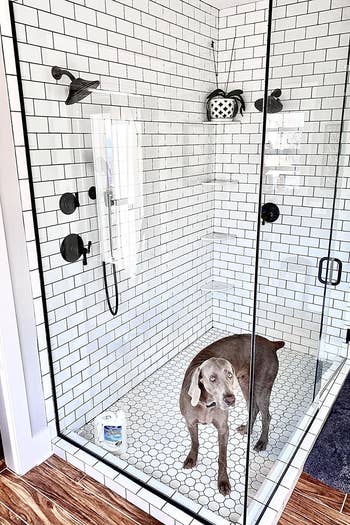 a reviewer's sparkling clean shower with glass doors 