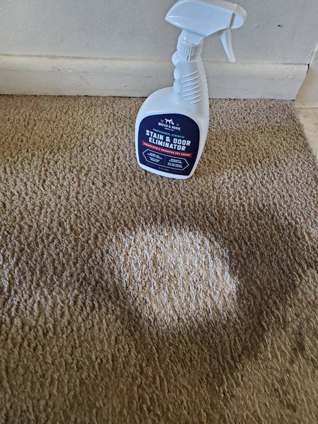 the stain remover bottle and a carpet with a clean spot surrounded by a dirty area to show how effective the remover is