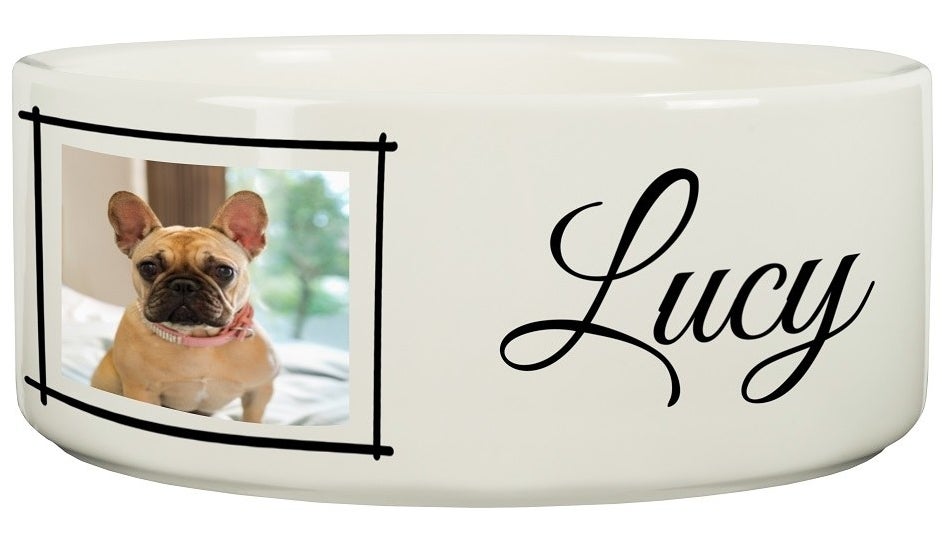 The bowl with a picture of a Frenchie on it, and the dog&#x27;s name, which is Lucy. The name is written in cursive script, in black.