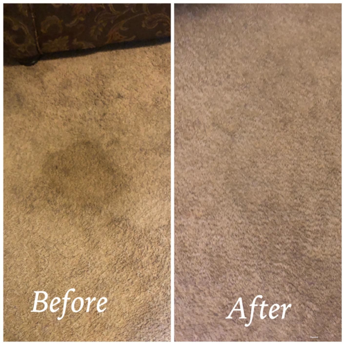 Reviewer&#x27;s results of using Folex carpet cleaner