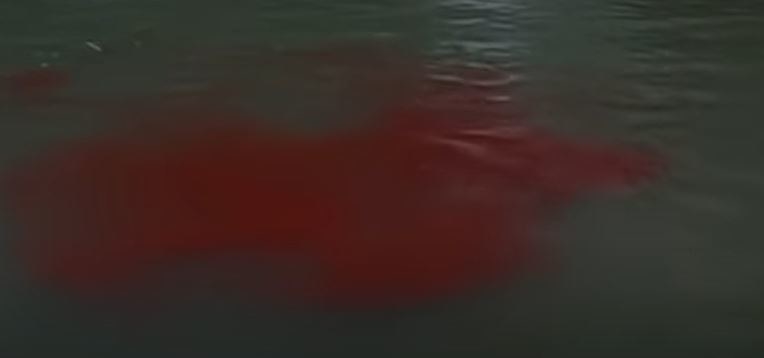 A pool of fake blood in the water