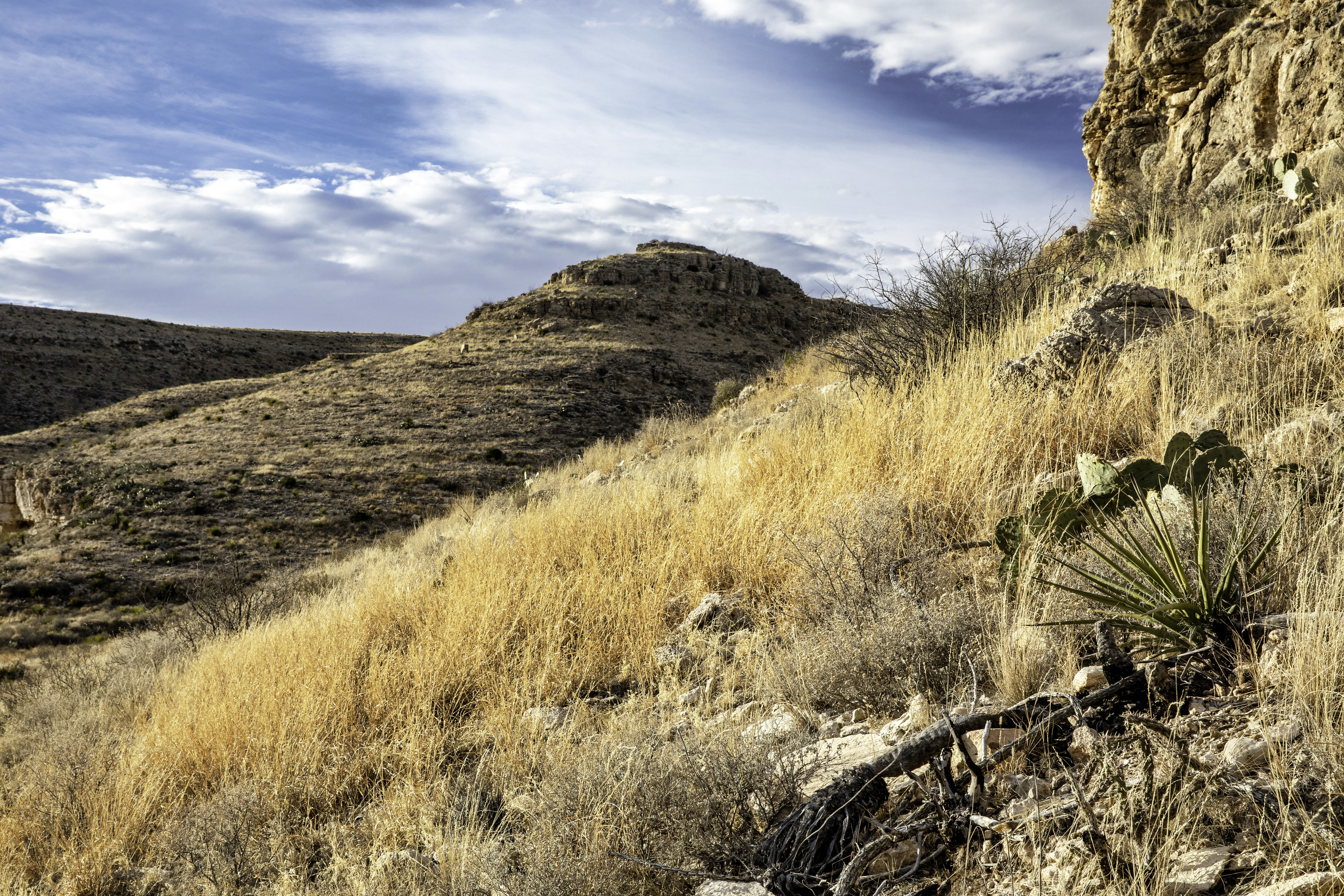 White clouds hang over the rough peak of Carlsbad Caverns' mountains. Dried brush accentuates the frontmost space.