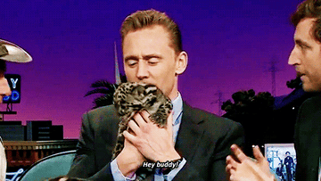 tom hiddleston holds a baby leopard, cuddling it, saying &quot;hey buddy!&quot;