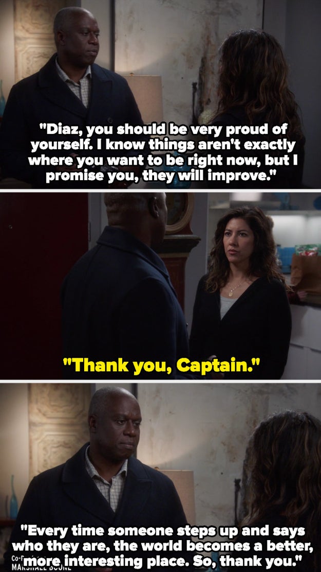 Brooklyn Nine-Nine: 18 Captain Holt Memes Proving He's The Greatest