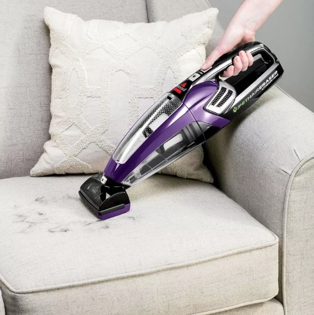A model using the purple/black Bissell pet hair handheld vacuum to remove hair off a couch