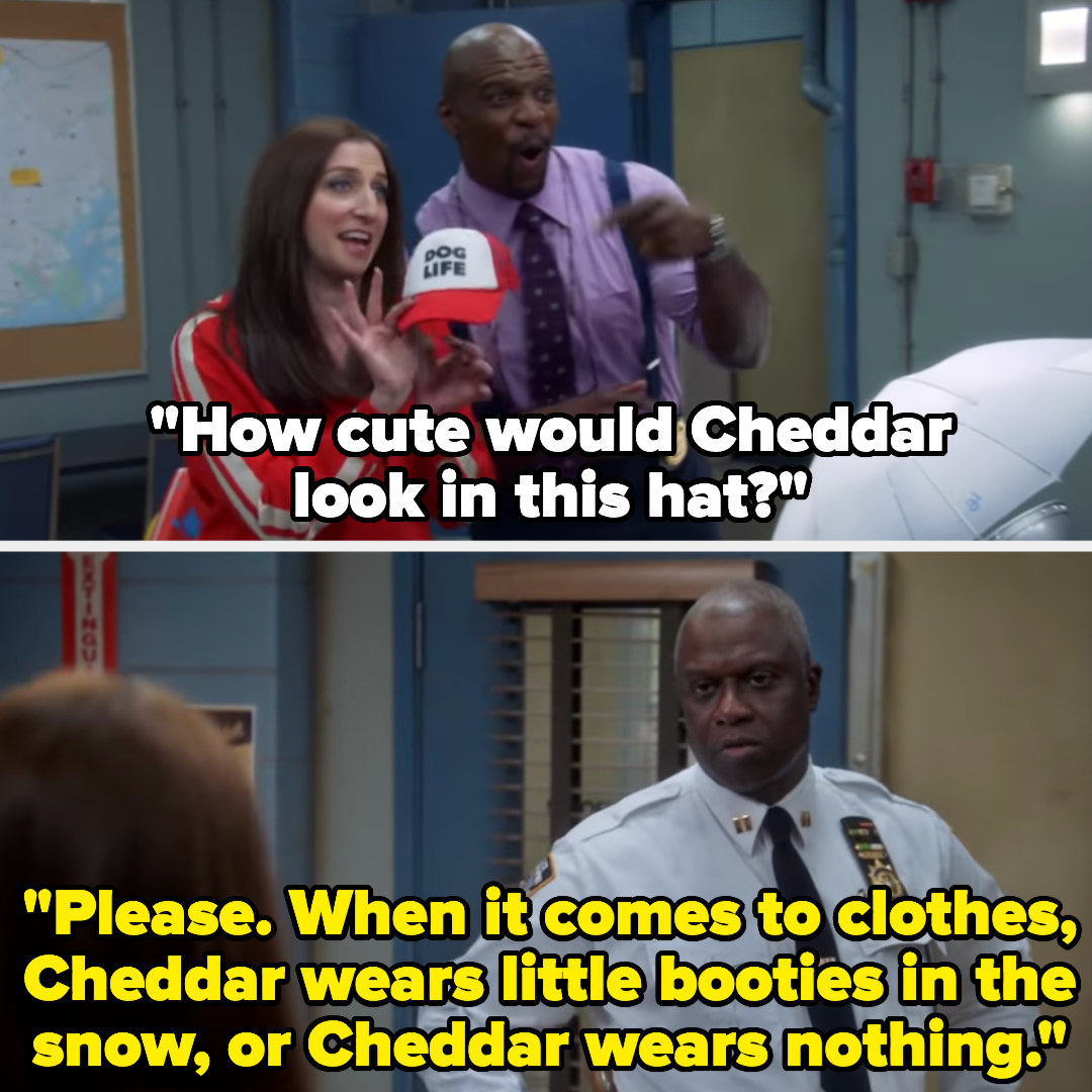 Holt says, &quot;Please. When it comes to clothes, Cheddar wears little booties in the snow, or Cheddar wears nothing&quot;