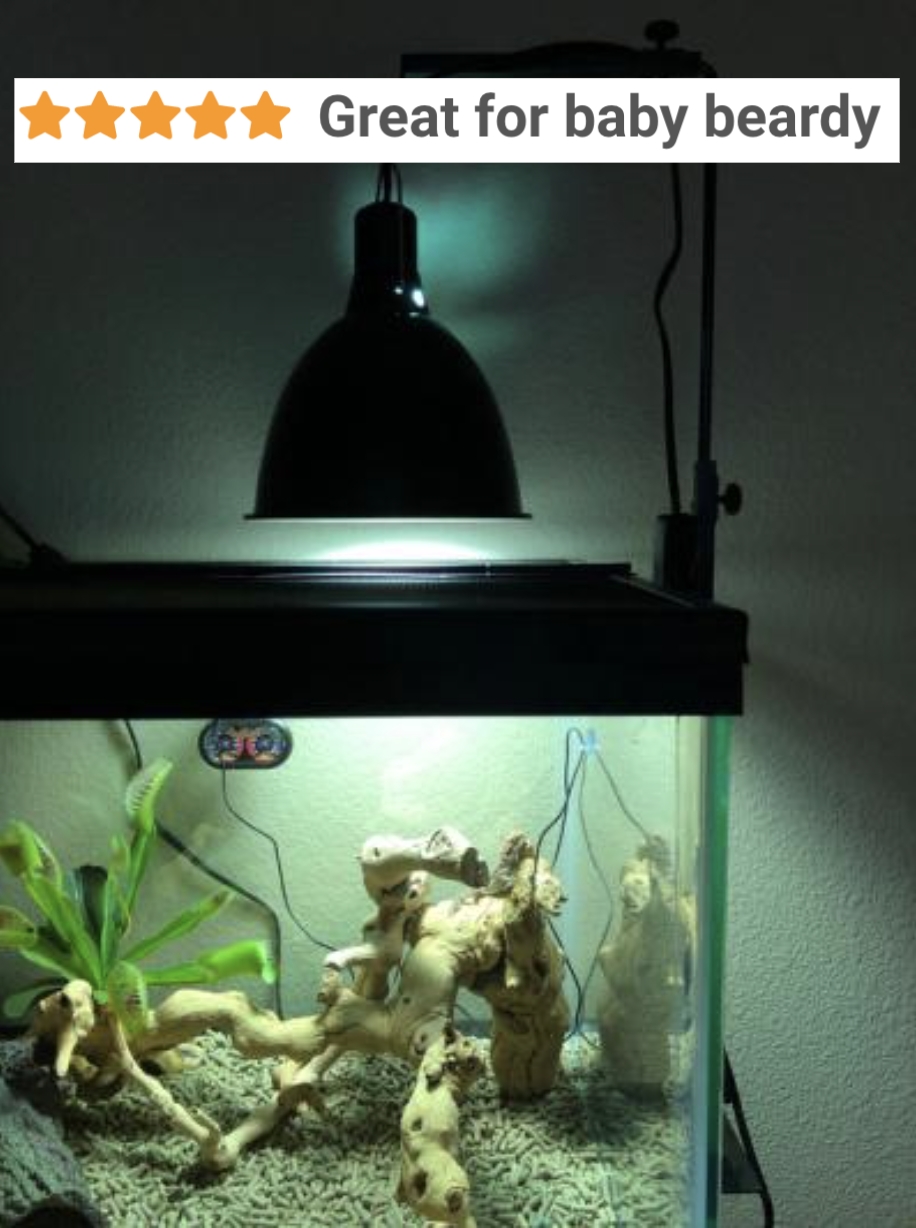 reviewer&#x27;s picture of the lamp stand warming a reptile tank with five-star caption &quot;great for beardy baby&quot;