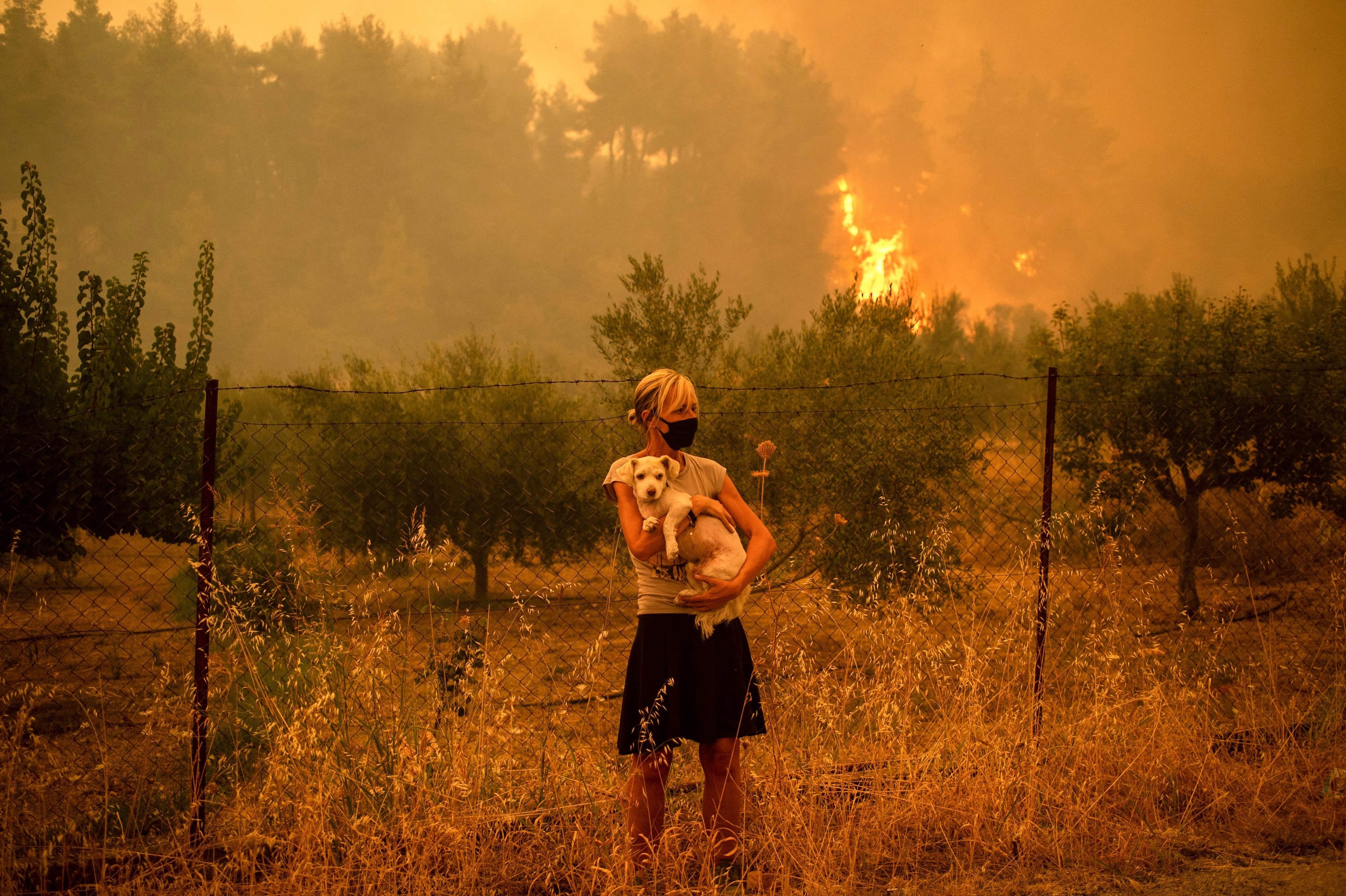 A standing woman holds her dog close to her chest in front of a barbed-wire fence as a fire burns in the background