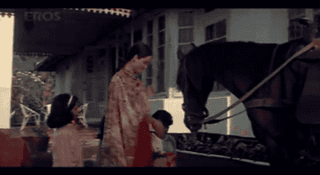 A horse is visibly excited upon being fed sugar by aarti and her children