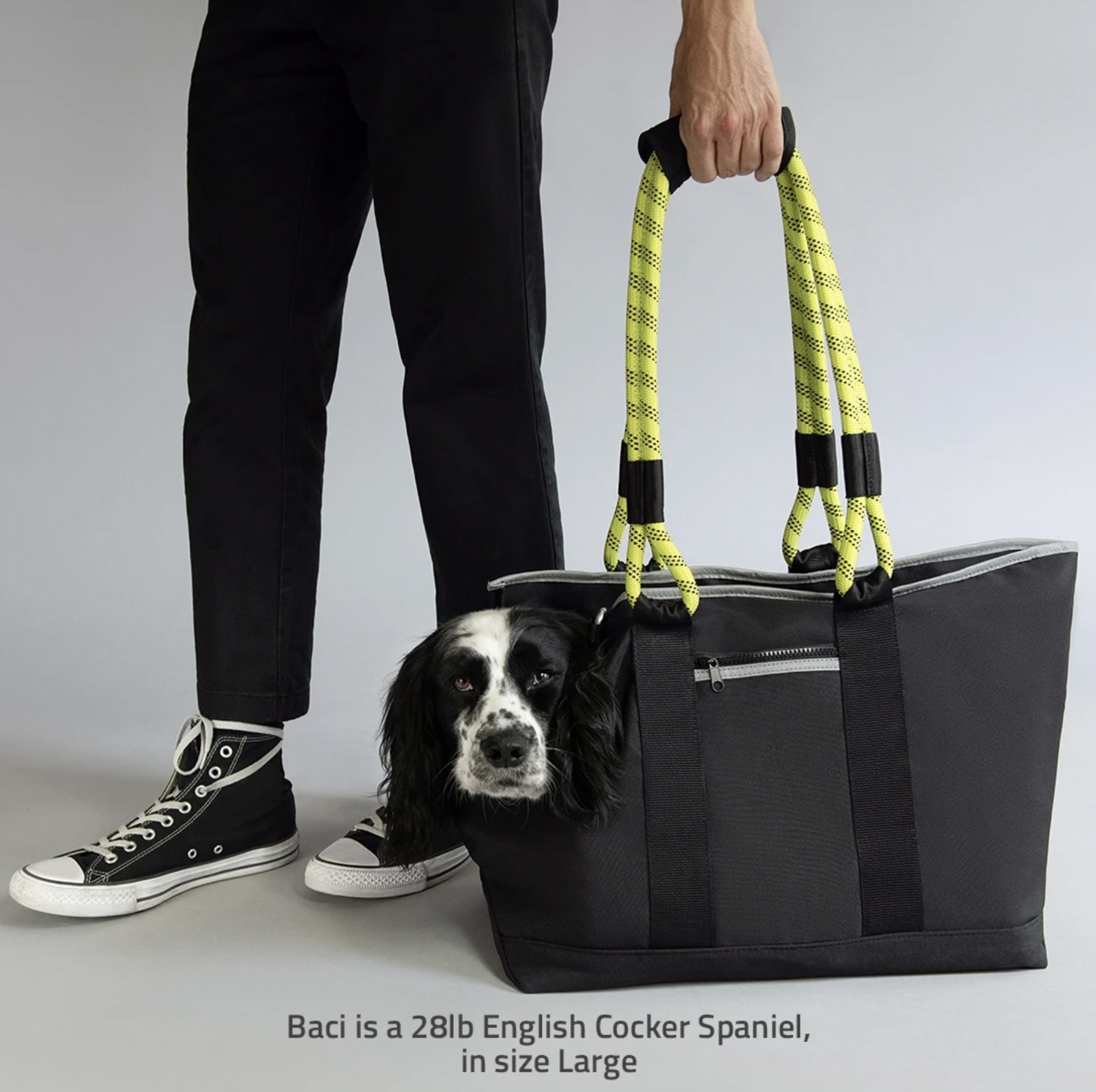 The Black and Yellow Roverlund Dog Tote