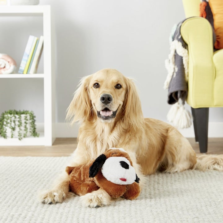 The SnugglePuppy Toy