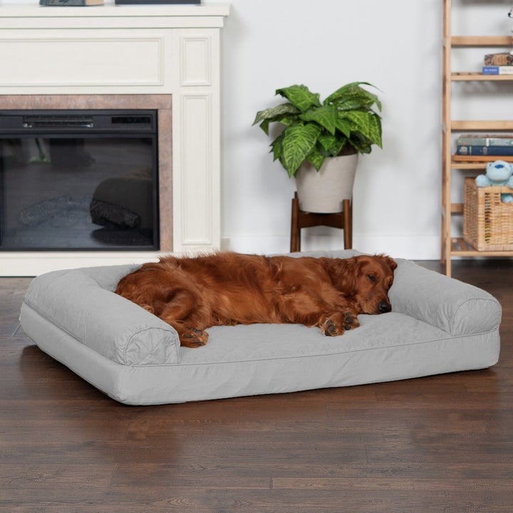 The gray orthopedic sofa bed
