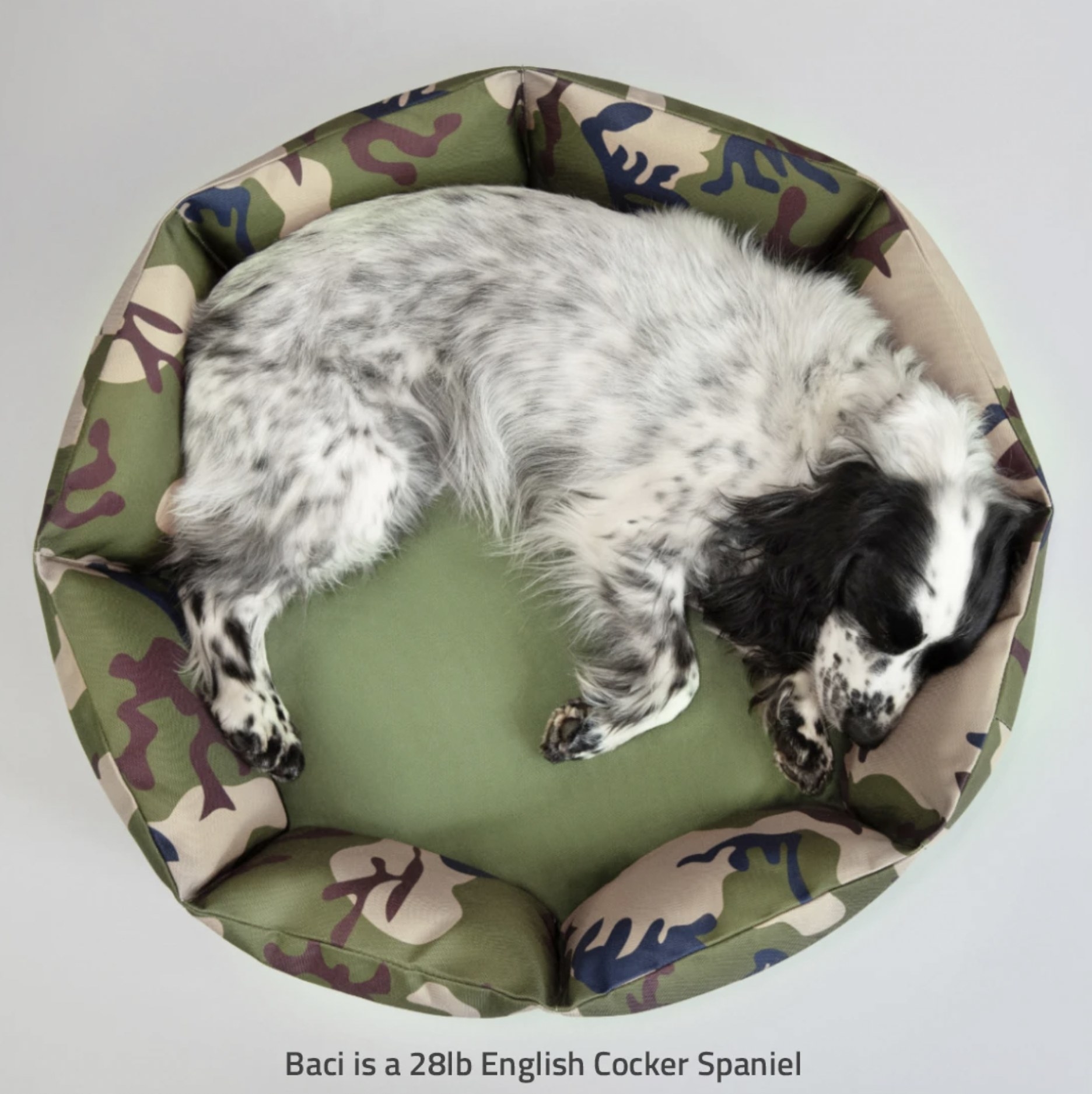 The green camo Roverlund pet bed with a dog in it