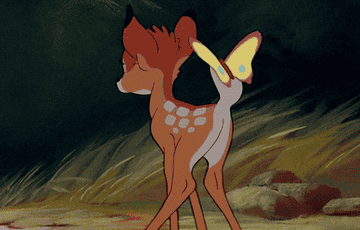 Bambi looking at a butterfly on her tail.
