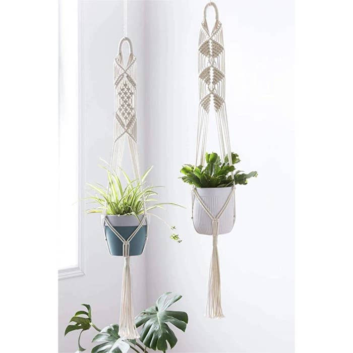 White and blue ceramic plots hanging in the macrame planters against a white wall