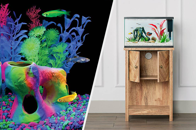 17 Things From PetSmart For Your Fish