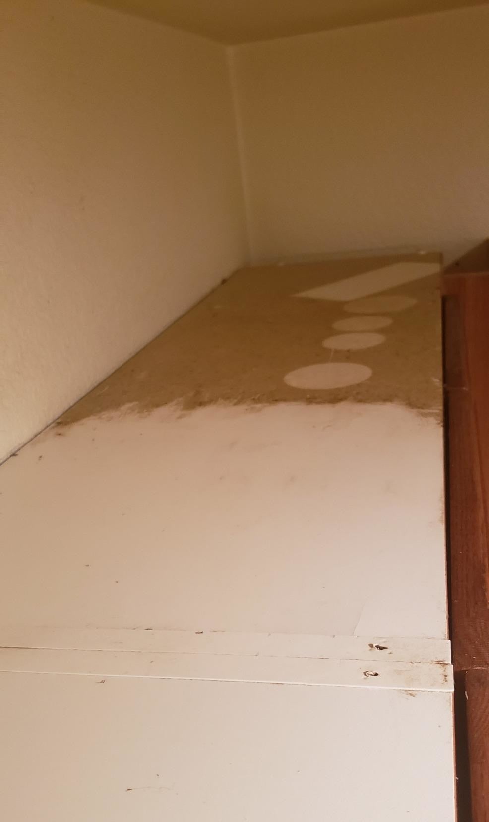 reviewer's shelf half covered in brown grease and half clean