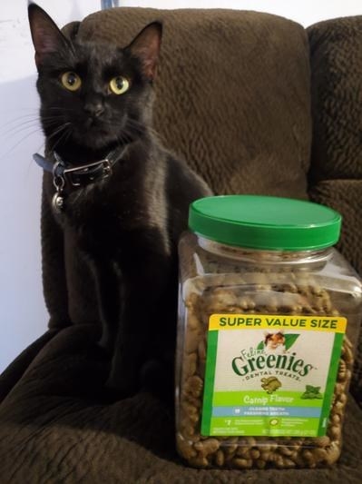 a cat with a package of Greenies