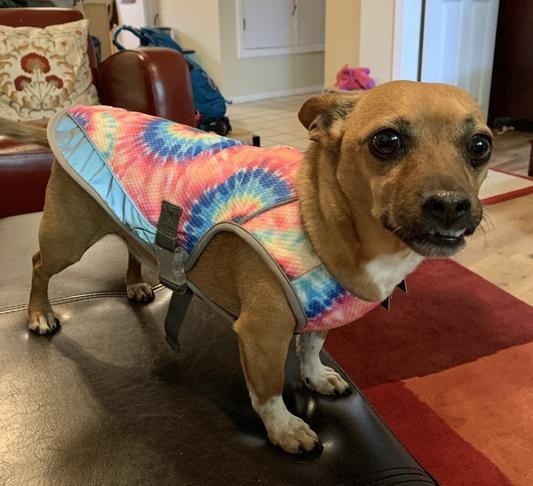 the tie dye cooling vest