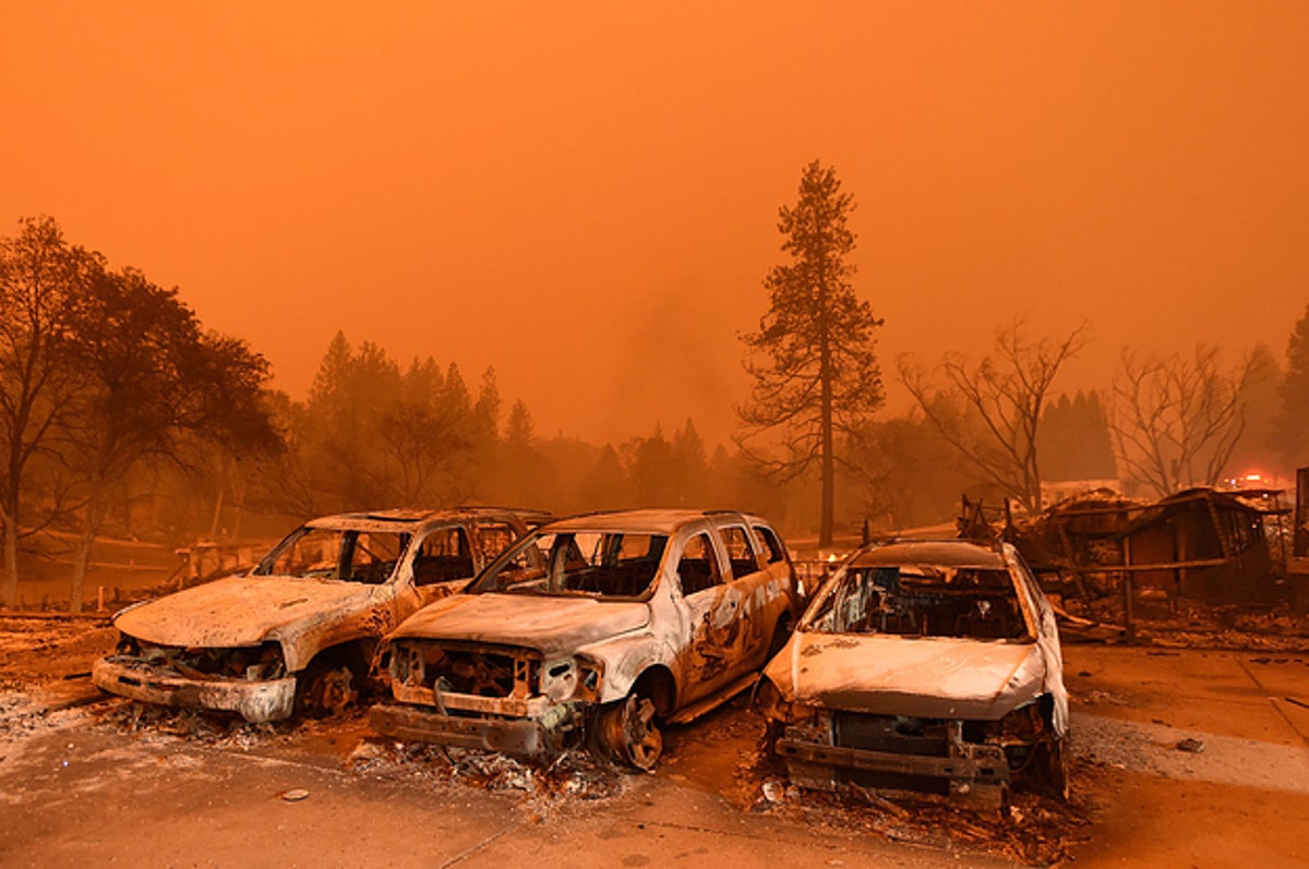A New Book About The Camp Fire Paints A Grim Picture Of Our Future