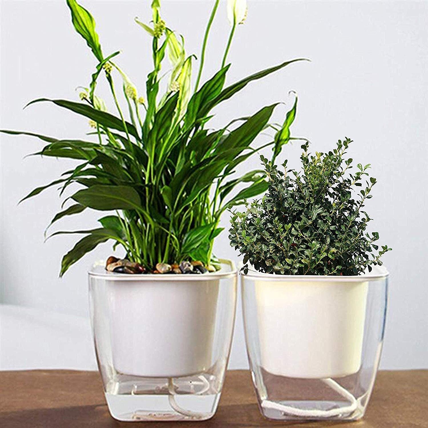 A pair of self water flower pots with plants in them