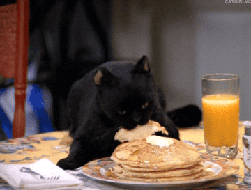 salem the cat in sabrina the teenage witch stuffing his face with pancakes