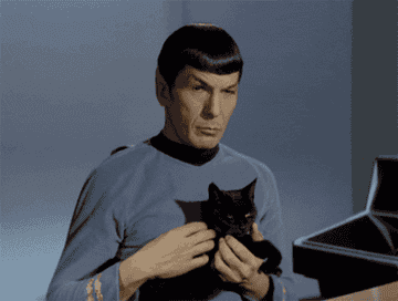 gif of spock from star trek solemnly petting a cat